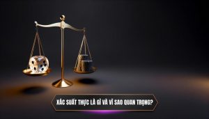 Xác Suất Thực (True Probability) Là Gì Và Tại Sao Nó Quan Trọng Trong Cá Cược